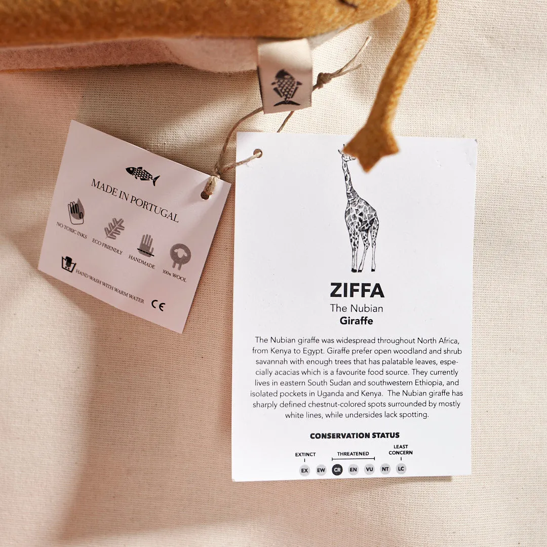 ZIFFA, the Nubian giraffe